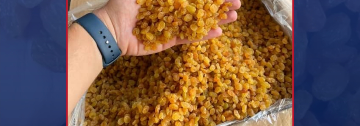 Buy raisins in Romania Premium raisins supplier Top quality raisins Raisins for sale Golden raisins Thompson Seedless raisins Sultana raisins Bulk raisins Romania Raisins for baking Best raisins supplier Raisins wholesale Romania Healthy raisins snack Antioxidant-rich raisins Raisins for granola Black raisins Natural raisins Wholesale raisins purchase Raisins for businesses Raisins for cooking Organic raisins Romania
