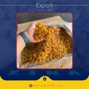 Buy raisins in Romania Premium raisins supplier Top quality raisins Raisins for sale Golden raisins Thompson Seedless raisins Sultana raisins Bulk raisins Romania Raisins for baking Best raisins supplier Raisins wholesale Romania Healthy raisins snack Antioxidant-rich raisins Raisins for granola Black raisins Natural raisins Wholesale raisins purchase Raisins for businesses Raisins for cooking Organic raisins Romania