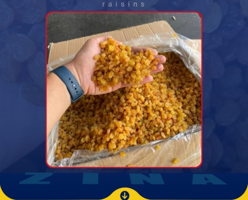 Buy raisins in Romania Premium raisins supplier Top quality raisins Raisins for sale Golden raisins Thompson Seedless raisins Sultana raisins Bulk raisins Romania Raisins for baking Best raisins supplier Raisins wholesale Romania Healthy raisins snack Antioxidant-rich raisins Raisins for granola Black raisins Natural raisins Wholesale raisins purchase Raisins for businesses Raisins for cooking Organic raisins Romania