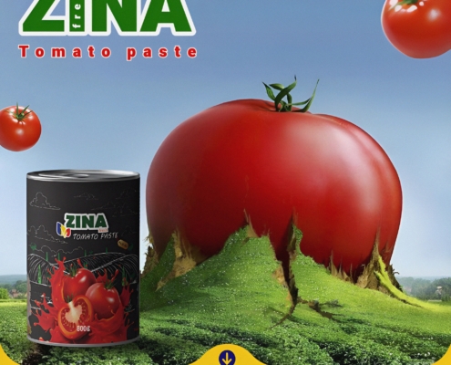 Raw materials for tomato paste Tomato paste production ingredients Quality tomato paste ingredients Tomato paste manufacturing raw materials Citric acid for tomato paste Suppliers of tomato paste ingredients Romania Best raw materials for tomato paste Tomato paste ingredients for production Salt and sugar in tomato paste Sustainable raw materials for tomato paste